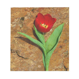 Bloc-note Tulipe jaune et rouge