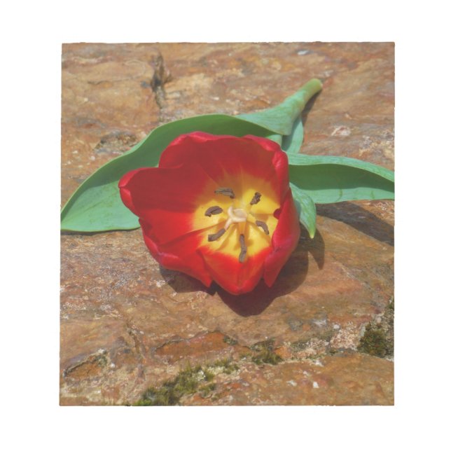 Bloc-note Tulipe rouge du printemps (Devant)
