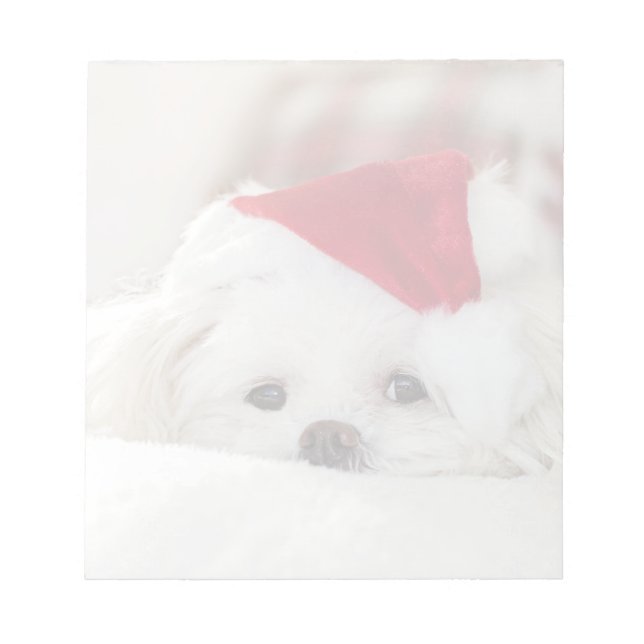 Bloc-note Un mignon chien blanc dans un Casquette de Noël ro (Devant)
