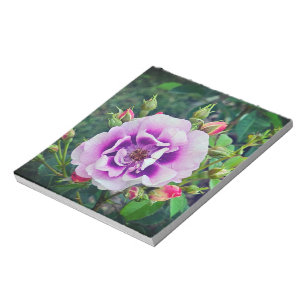 Bloc-note Un rose violet
