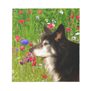 Bloc-note Valentine Frontière Collie avec de belles fleurs