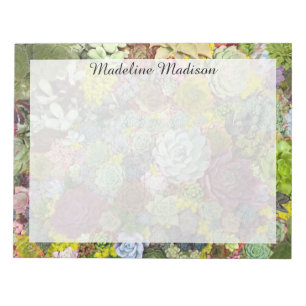 Bloc-note Verdure colorée Succulents