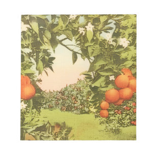 Bloc-note Verger d'orange vintage