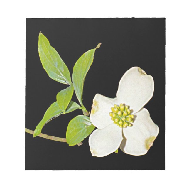Bloc-note Virginia Dogwood (Devant)