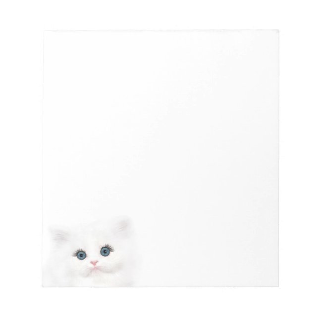 Bloc-note Visage de chaton persan blanc (Devant)
