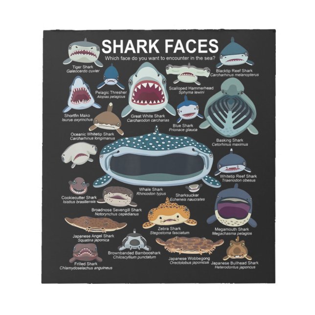 Bloc-note Visages de requins auxquels vous voulez participer (Devant)