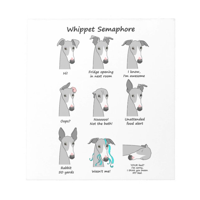 Bloc-note Whippet Semaphore (Devant)