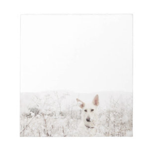 Bloc-note White German Shepherd in the Snow