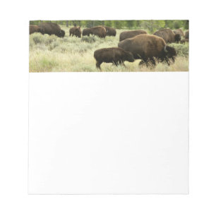 Bloc-note Wyoming Bison Nature Animal Photographie