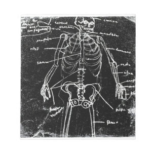 Bloc-note yaie tokyo anatomie du squelette humain