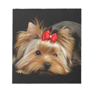Bloc-note Yorkie mignon