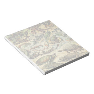 Bloc-notes Adolphe Millot Reptiles 2