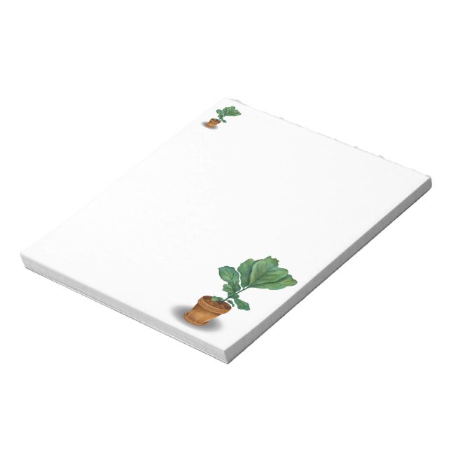 Bloc-Notes avec Pot de Figuier à feuilles de violo (Tourné)