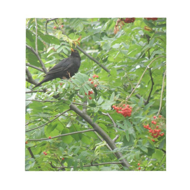 Bloc-notes Blackbird et Berries (Devant)