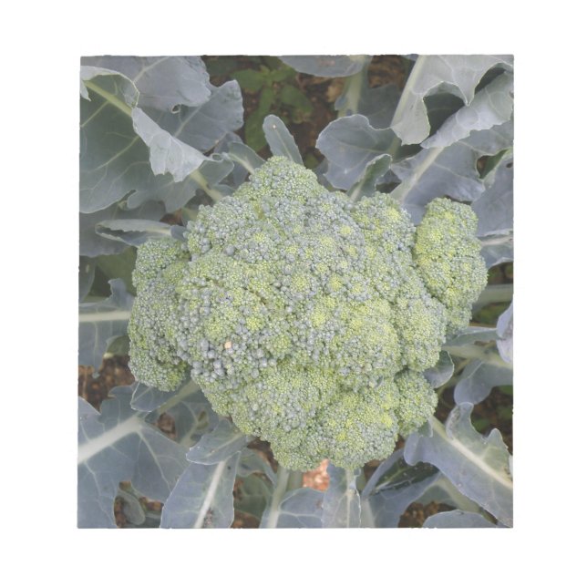 Bloc-notes Broccoli (Devant)