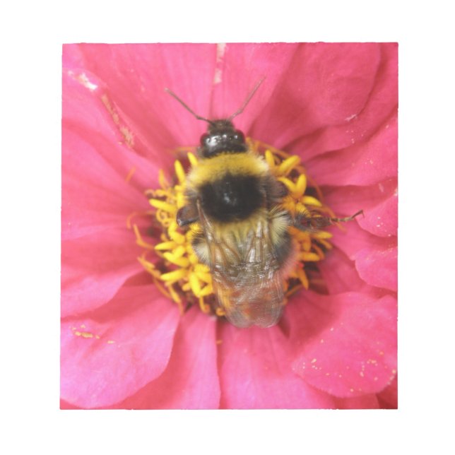 Bloc-notes Bumblebee (Devant)