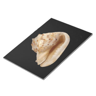 Bloc-notes Conch Shell