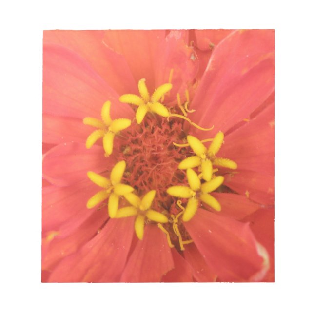 Bloc-notes de macro Zinnia rouge (Devant)