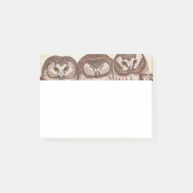 Bloc-notes de post-it de hibou (Devant)