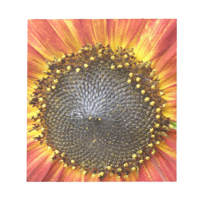 Bloc-notes de tournesol rouge et jaune (Devant)