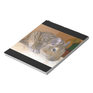 Bloc-notes détendu Degu