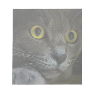 Bloc-notes d'intensité