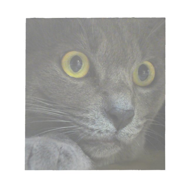 Bloc-notes d'intensité (Devant)