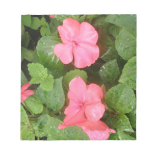 Bloc-notes en forme de fleurs d'Patiens roses