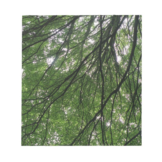 Bloc-notes Feuille et branches (Devant)