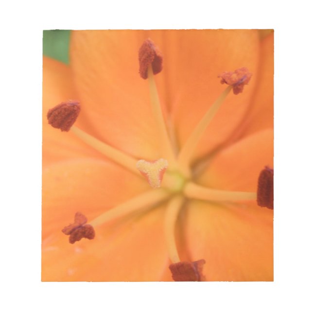 Bloc-notes floral Lily orange (Devant)