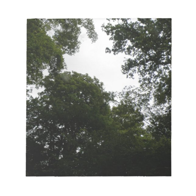 Bloc-notes Forêt déplaisante (Devant)