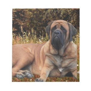 Bloc-notes français de Bulldogen Mastiff
