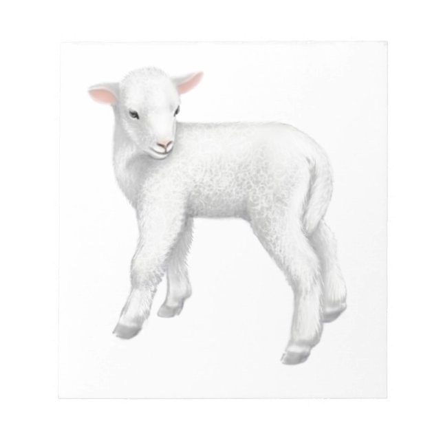 Bloc-notes Fuzzy Little Lamb (Devant)