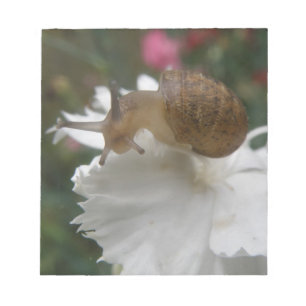 Bloc-notes Garden Snail et Carnation blanche