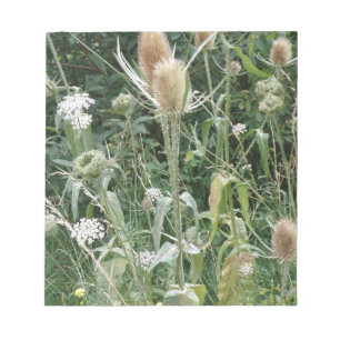 Bloc-notes Grasses sauvages