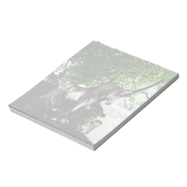 Bloc-notes Great River Divide (Tourné)