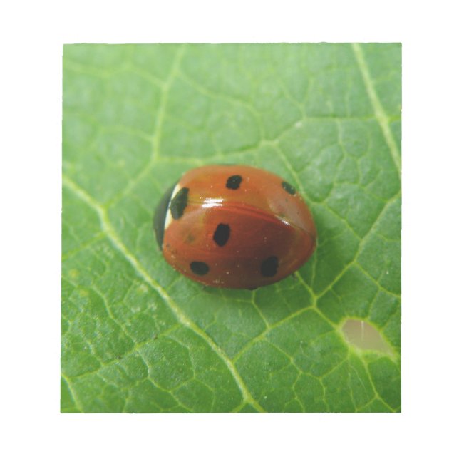 Bloc-notes Ladybug (Devant)