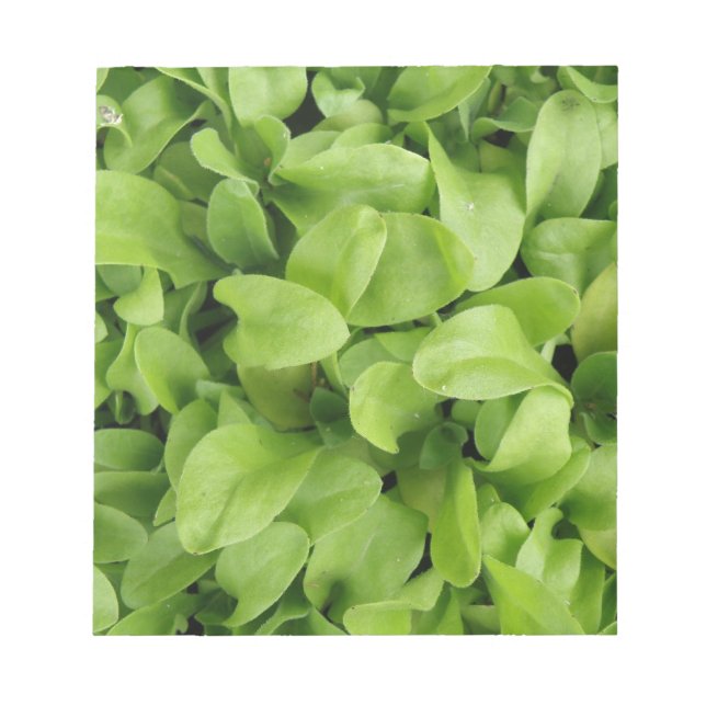 Bloc-notes Marigold Seedlings (Devant)