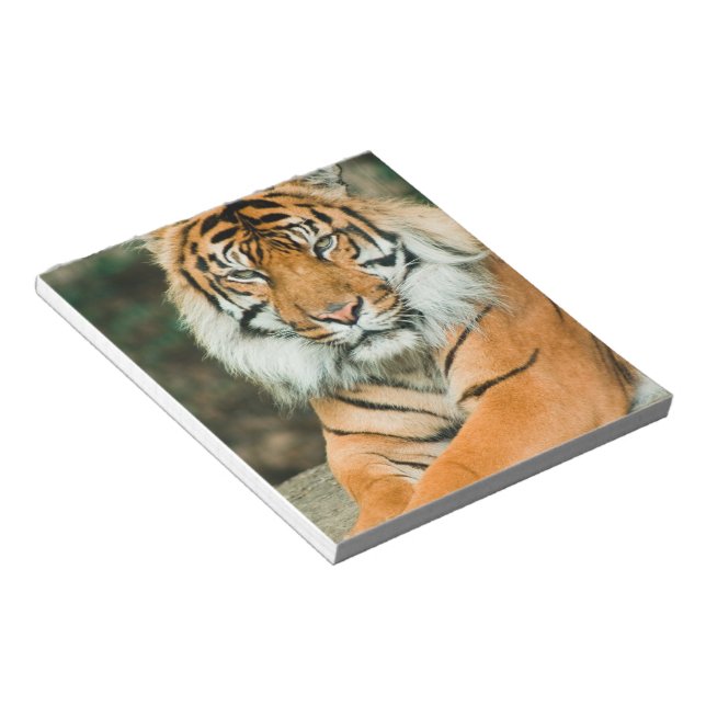 Bloc-notes orange Tiger (Incliné)