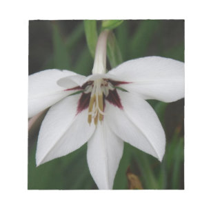 Bloc-notes orchidées