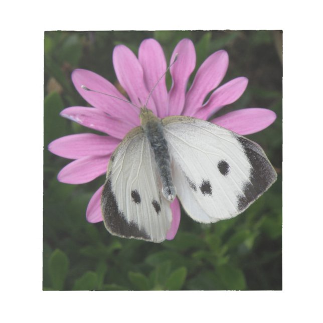 Bloc-notes Papillon papillon et rose (Devant)