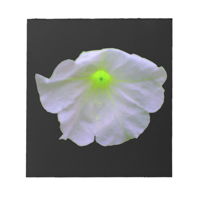 Bloc-notes Petunia Green Glow (Devant)