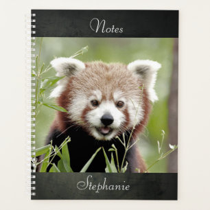Bloc-notes Photo panda rouge, animaux 01. carnet