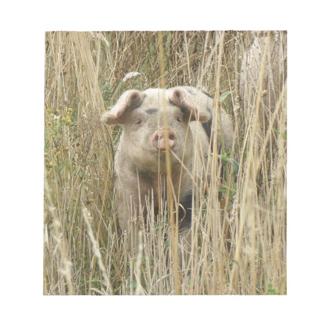 Bloc-notes pour cochon mignon (Devant)