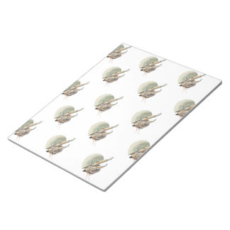 Bloc-notes pour le crabe ermite