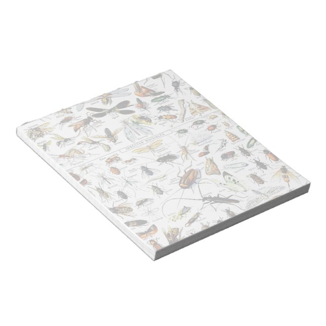 Bloc-notes pour les insectes d'Adolphe Millot (Incliné)