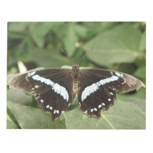 Bloc-notes pour papillon tropical noir et blanc