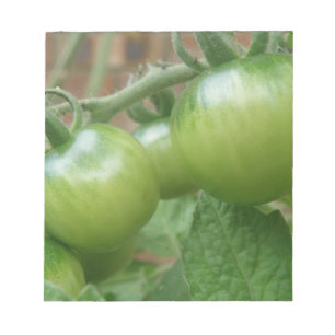 Bloc-notes pour tomates vertes
