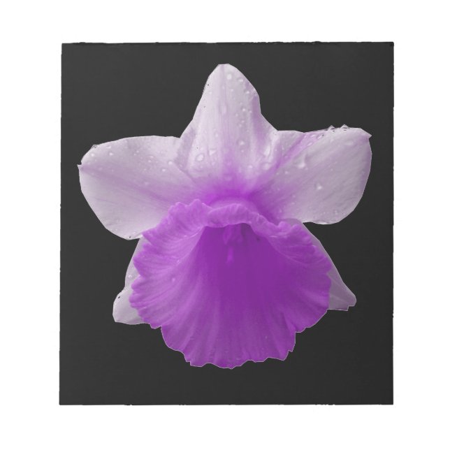 Bloc-notes pourpre Daffodil Driving (Devant)