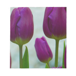 Bloc-notes pourpre de tulipes